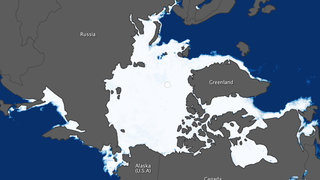 Arctic Sea Ice Hit a Forty-Year Low This Winter